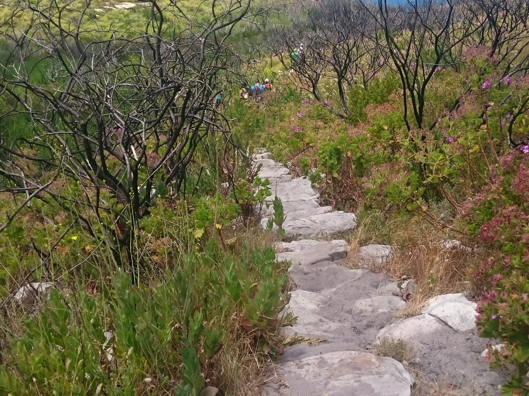 Hiking to Boomslang Cave景点图片