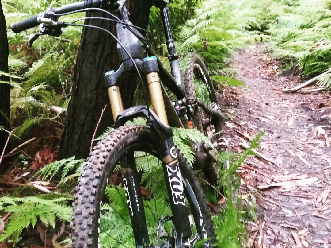 Joes Mountain Bike Tours景点图片