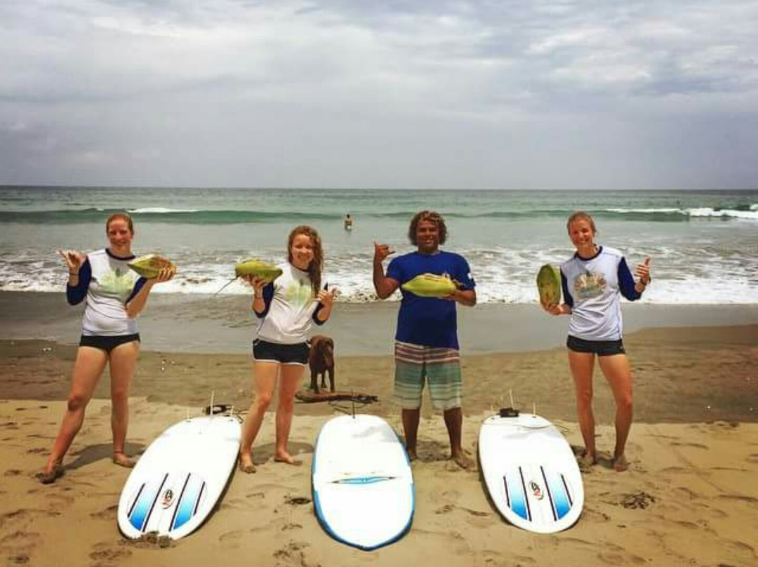 Young Vision Surf School景点图片