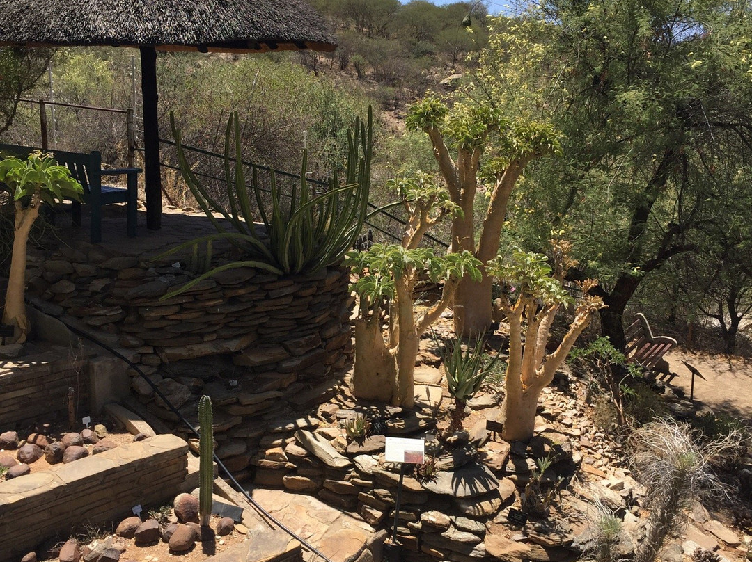 National Botanic Garden of Namibia-温德和克必去景点