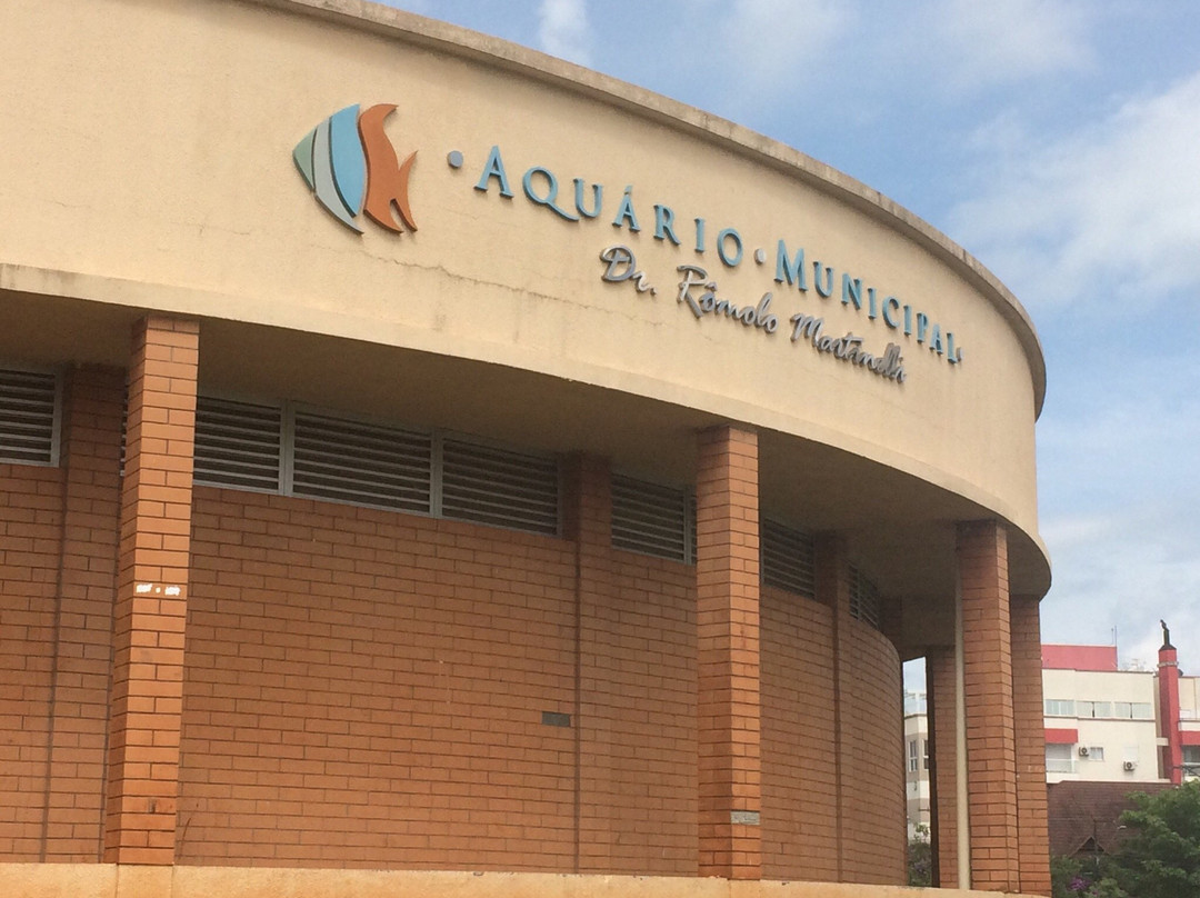 Aquário Municipal Romolo Martinelli景点图片