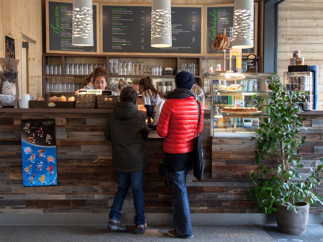 Okavango Im Grunen Zoo Wuppertal