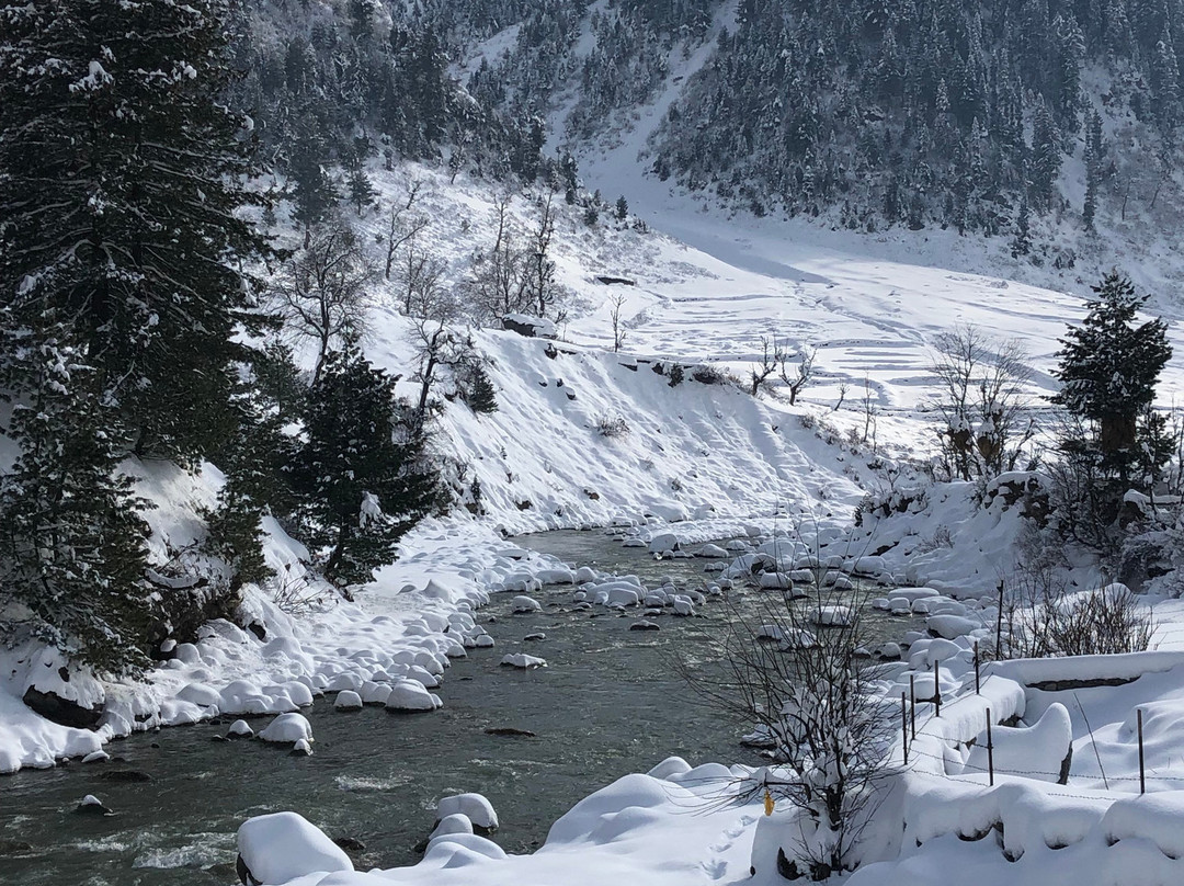 Farah's Homestay主图