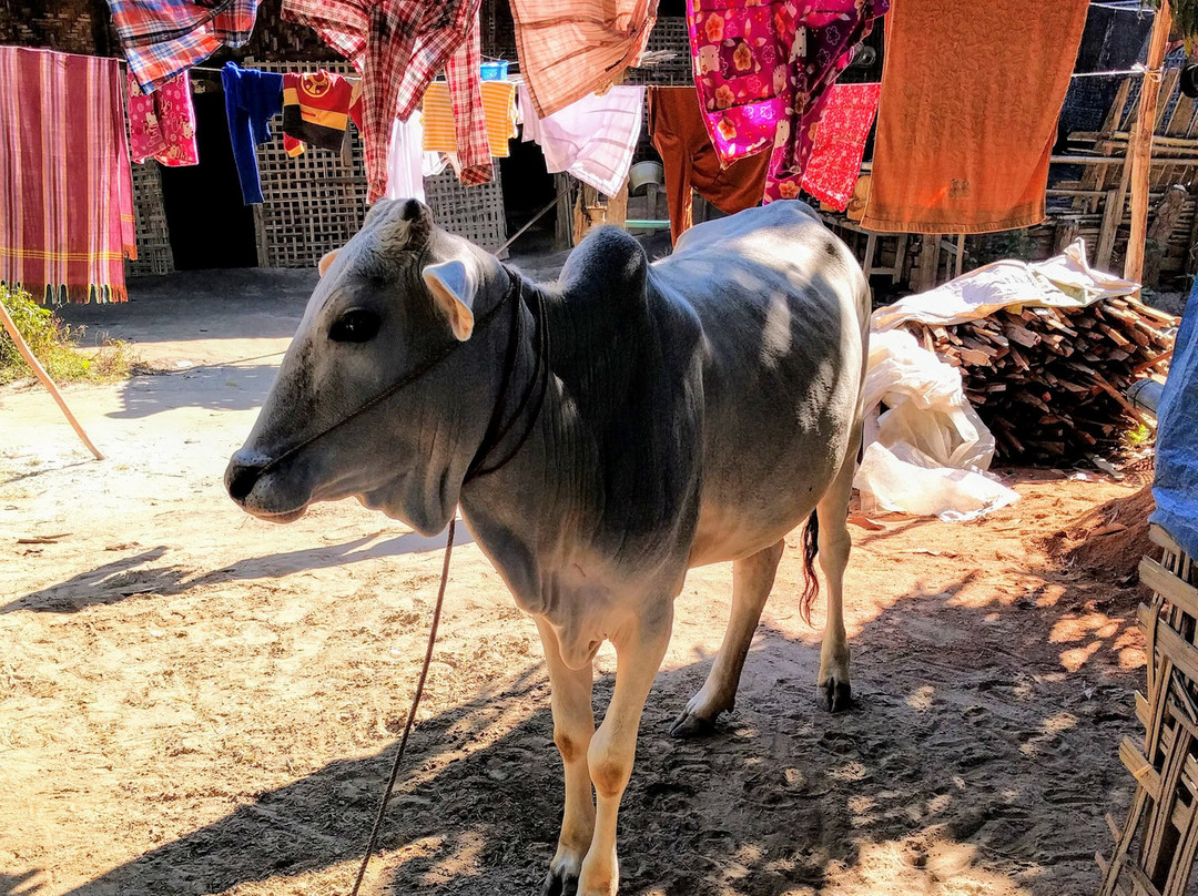 Lin's Family Experience-曼德勒必去景点