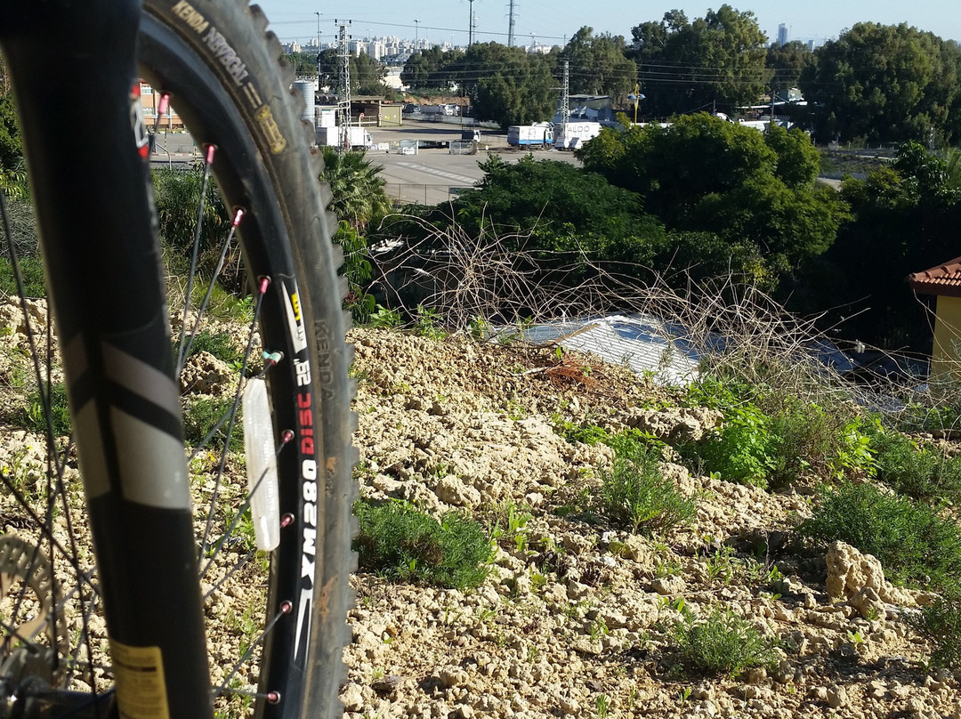 Tel Giborim Youth Park-霍隆必去景点