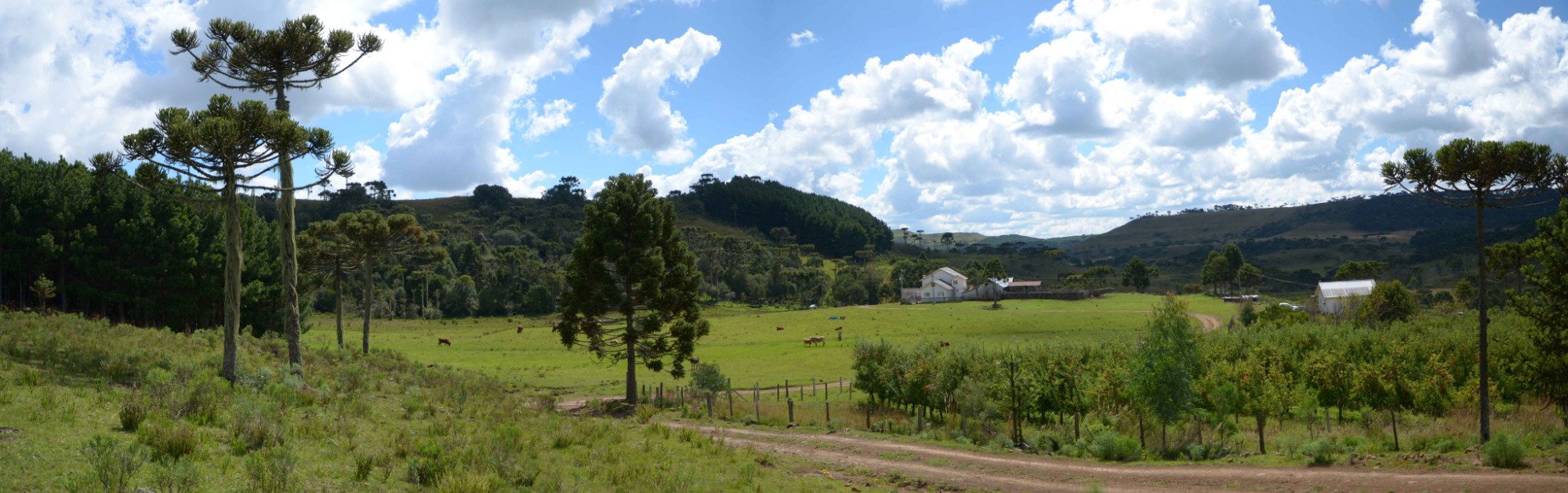 Pousada Rural Morro Agudo-酒店景观