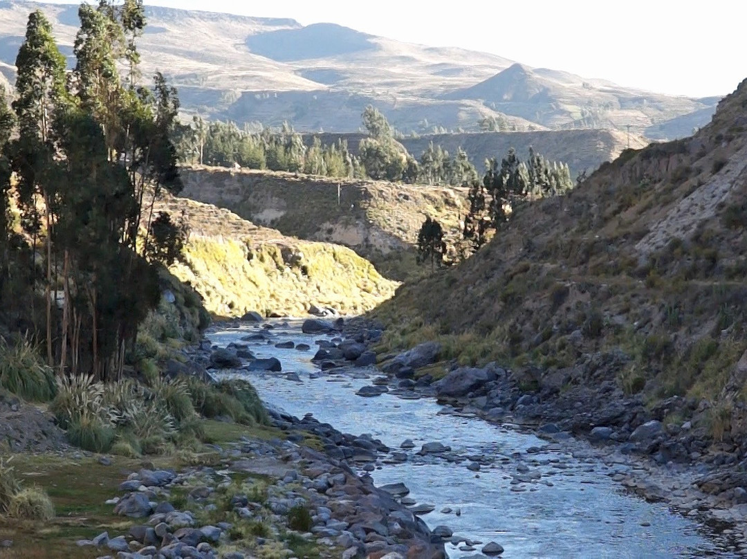 Arequipa Region旅游攻略图片