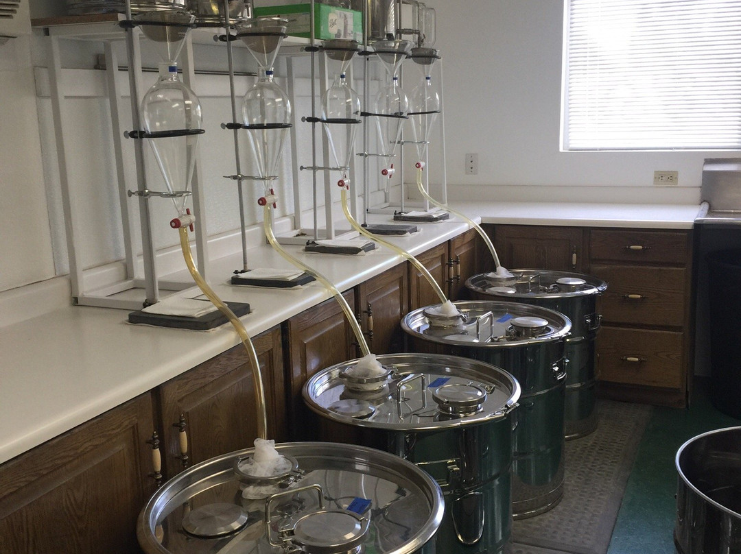 Young Living Farms Lavender Farm-Mona必去景点