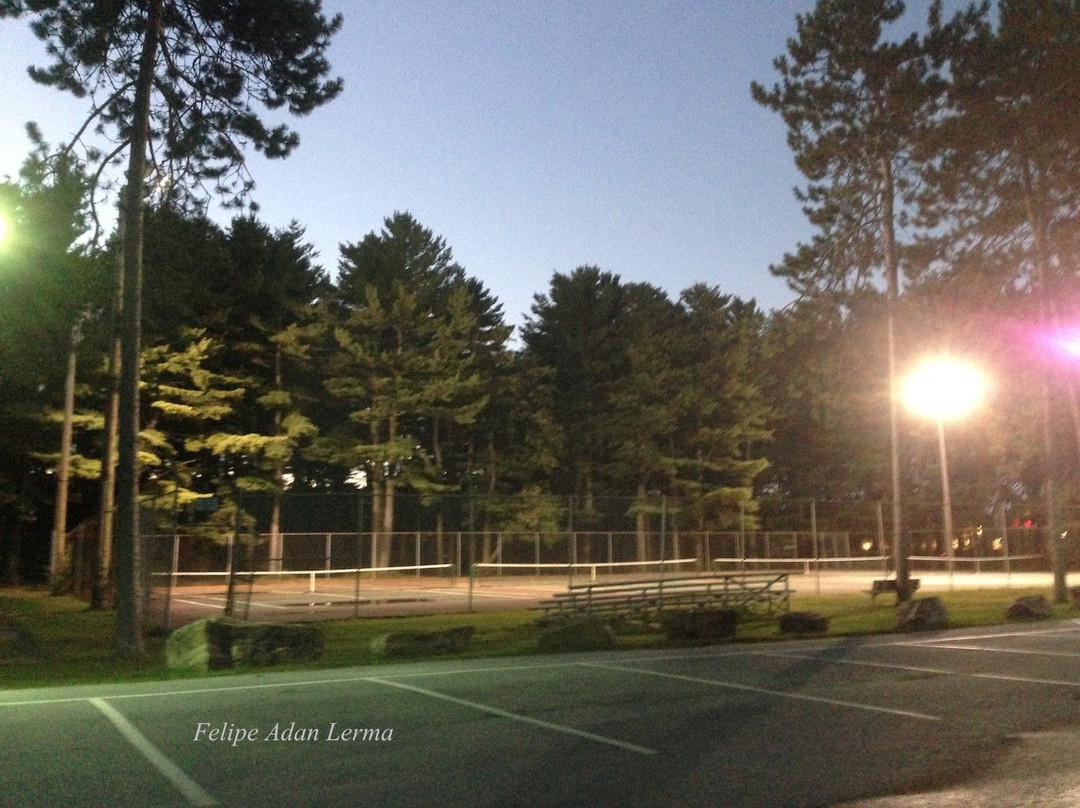 Leddy Park-伯灵顿必去景点