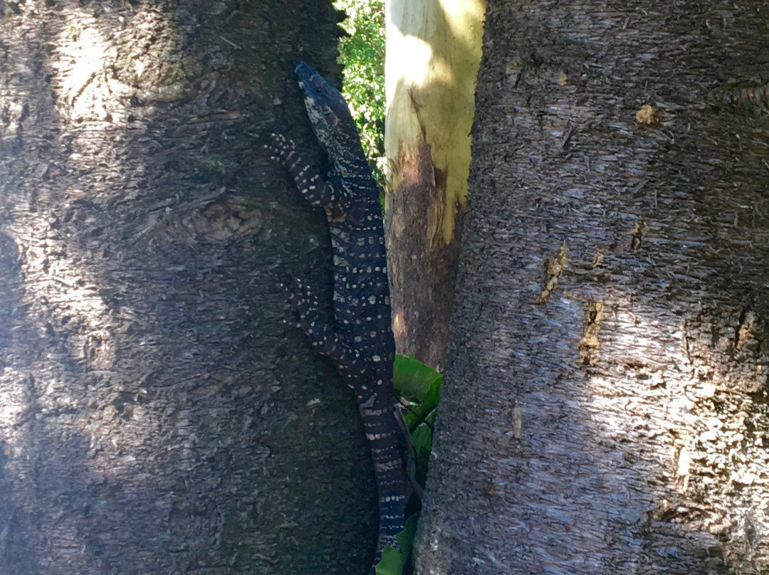 Mountain Bike Day Tours-拜伦湾必去景点