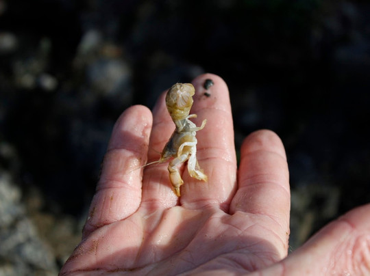 Aquanaut Tours-斯瓦科普蒙德必去景点