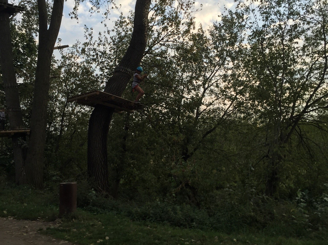 Rope Park Warszawa-华沙必去景点