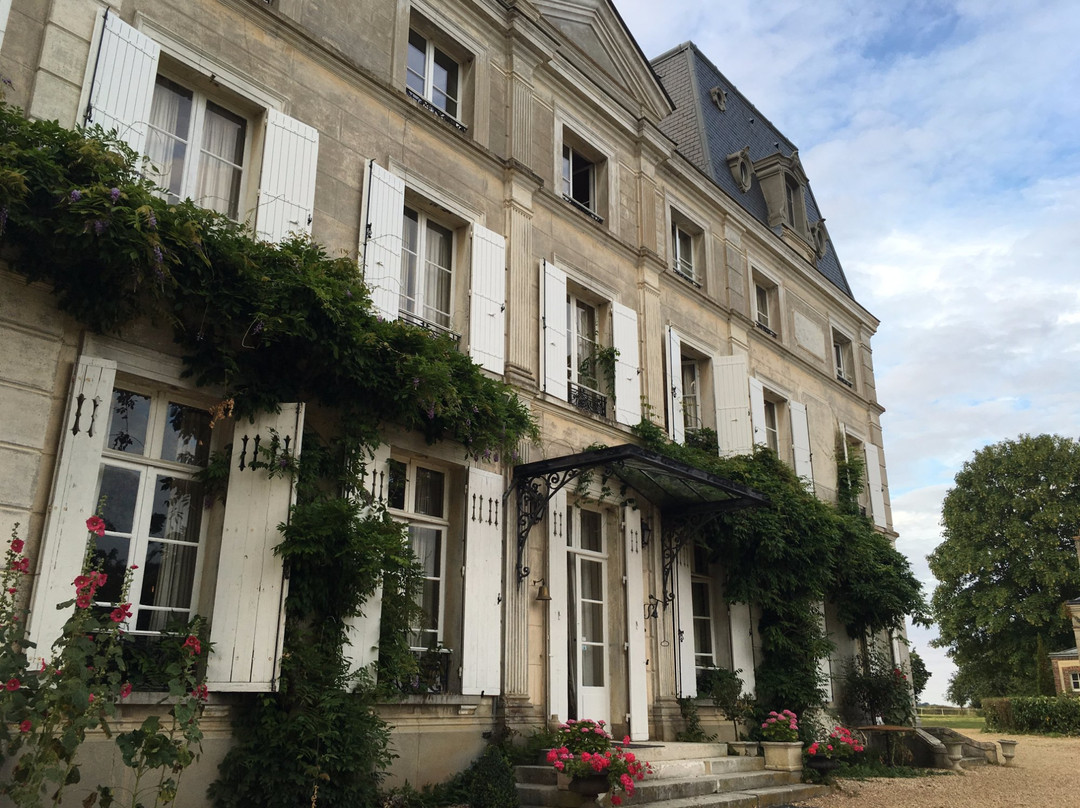 Crucey-Villages酒店住宿-Chateau de la Puisaye