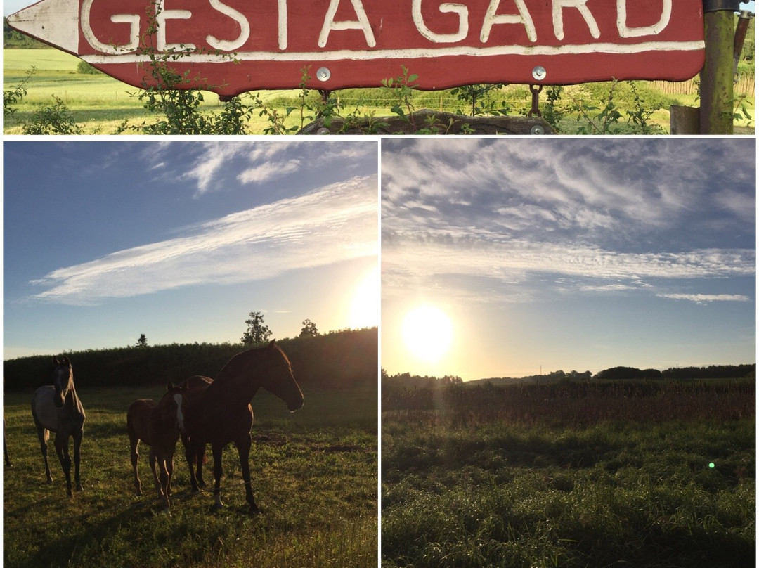 Gesta Gard