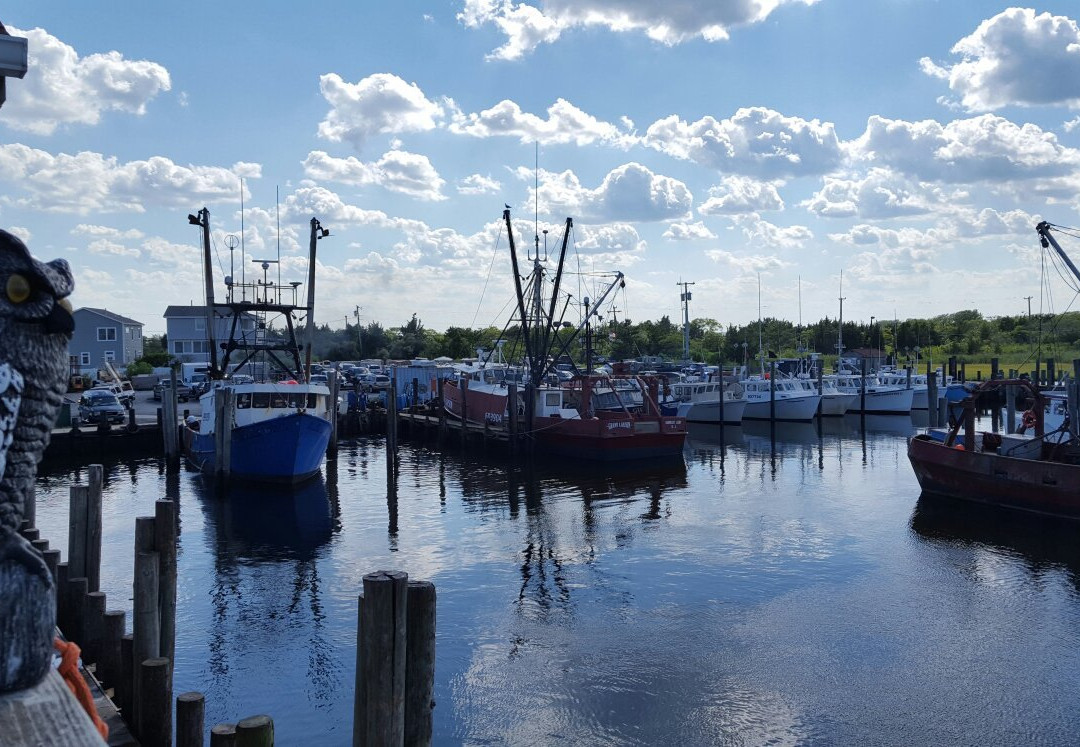 Viking Village, Inc.-Barnegat Light必去景点