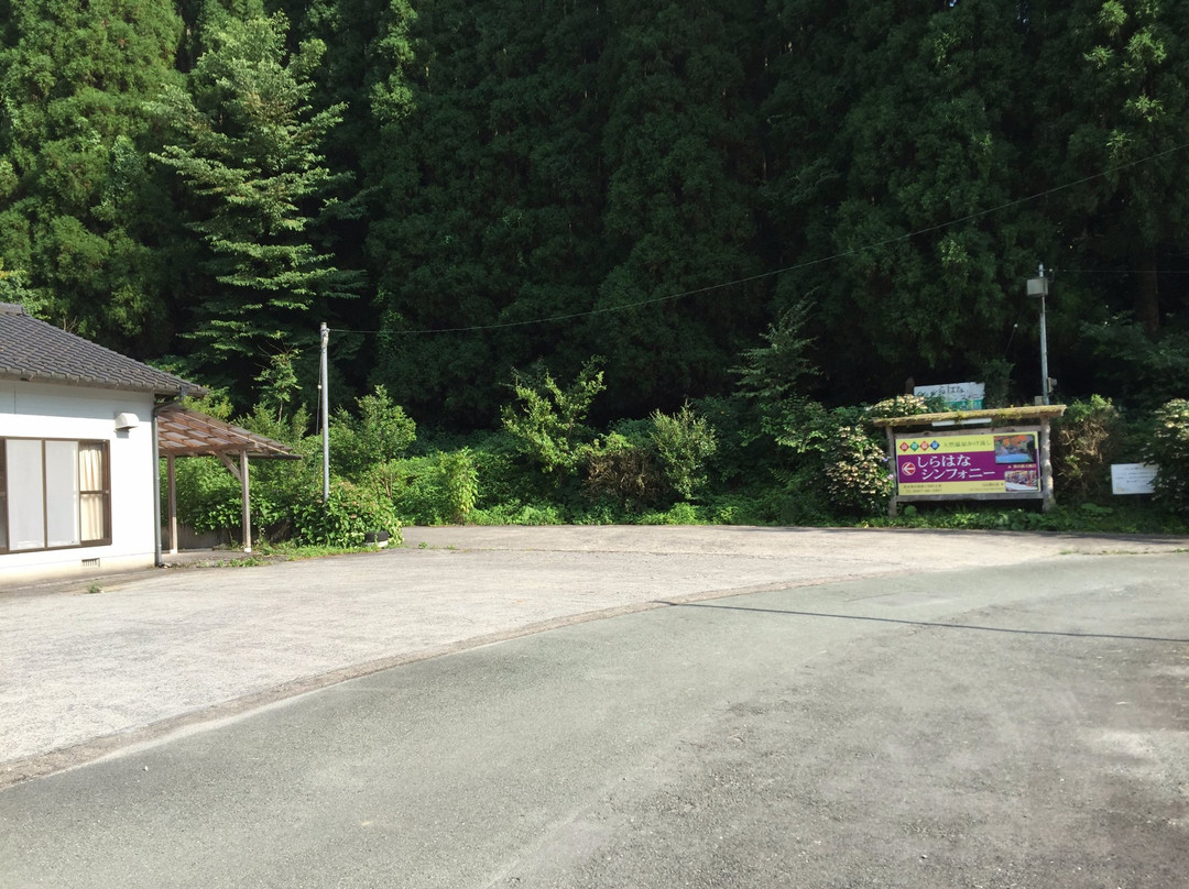 Shirahana Symphony主图