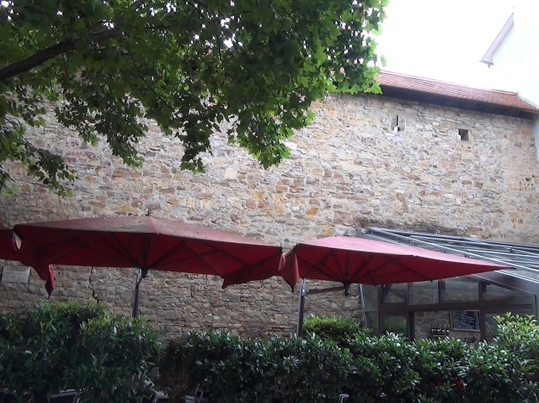 Alte Stadtmauer景点图片