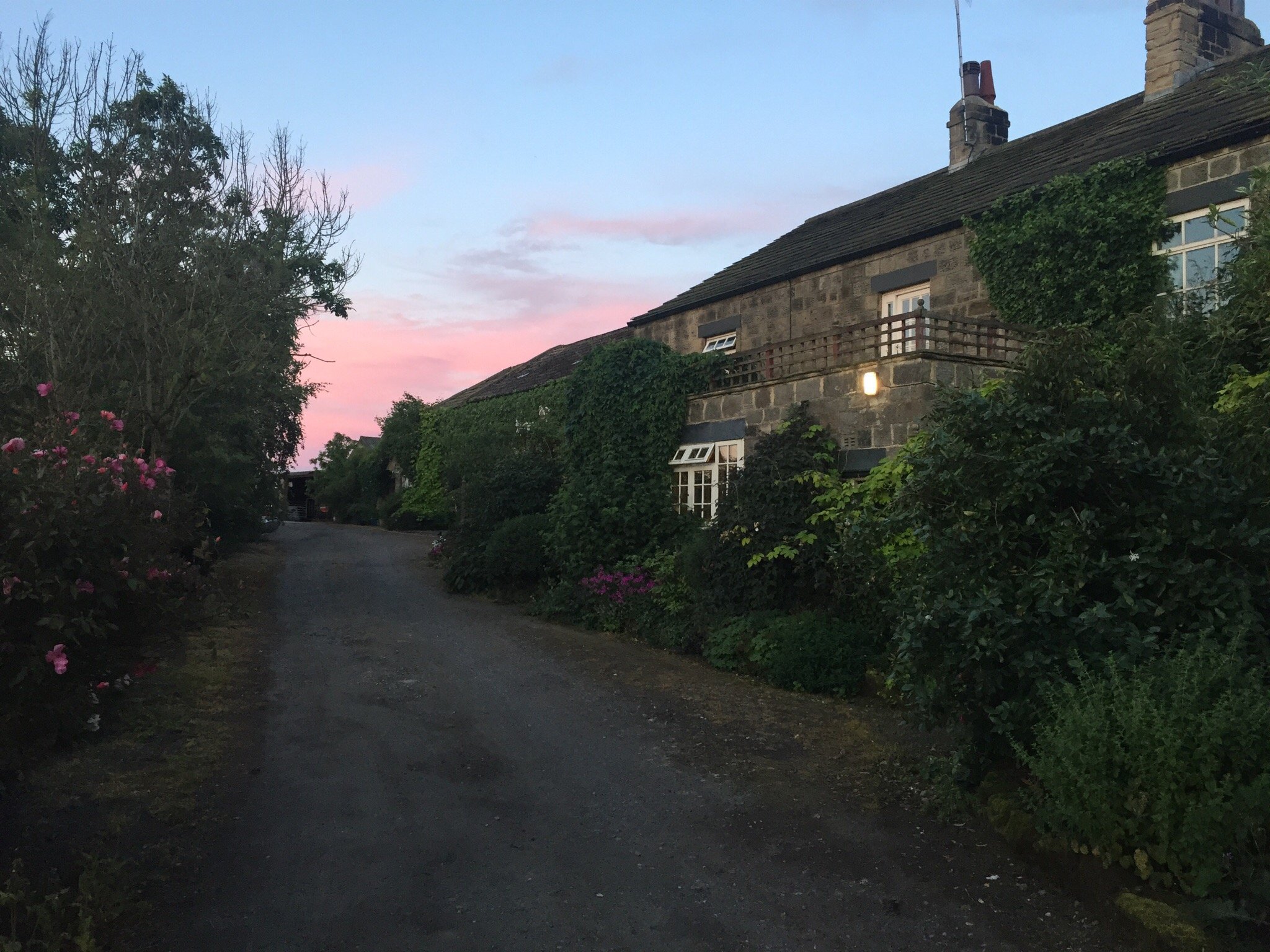 Wike Ridge Farm Bed and Breakfast-酒店景观