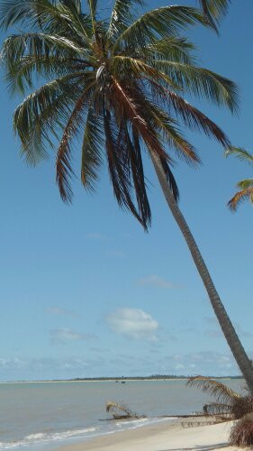 Barra Nova Beach-Caravelas必去景点
