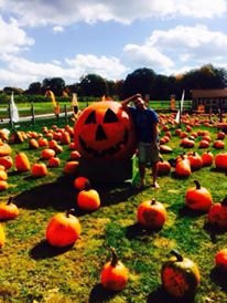 Blue Jay Orchards-Bethel必去景点