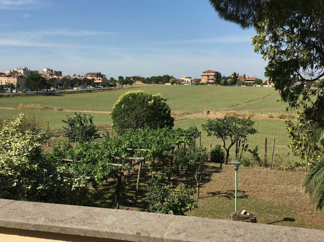 Villa degli Oleandri B&B主图