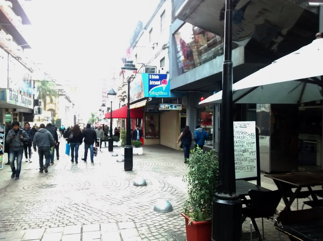 Peatonal Belgrano-San Salvador de Jujuy必去景点