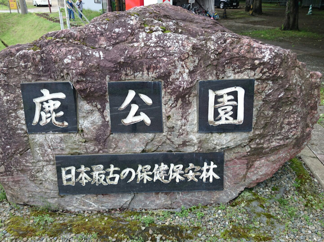 Abira Town Deers Park-安平町必去景点