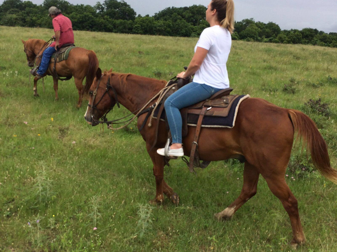 Texas Ranch Life景点图片