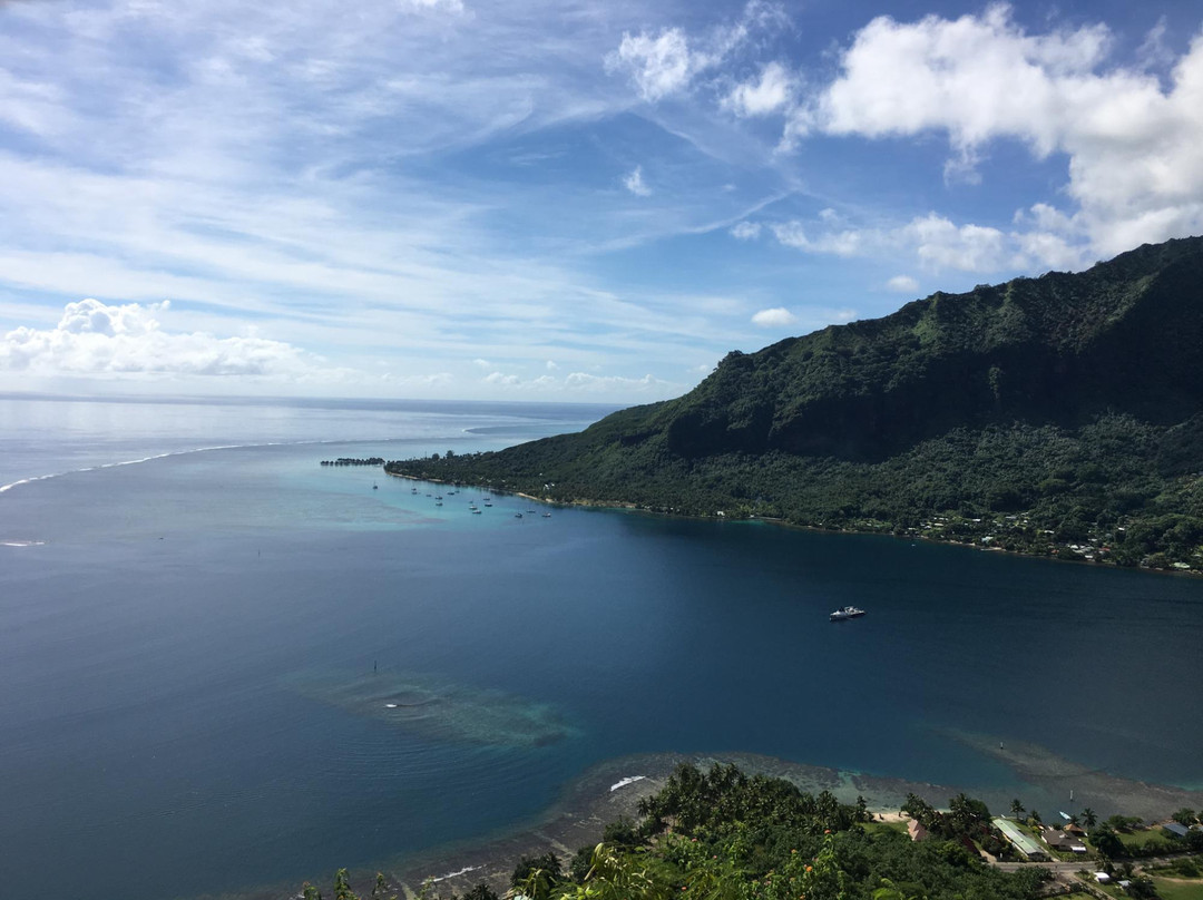 Dammon's ATV Tours-马哈雷帕必去景点