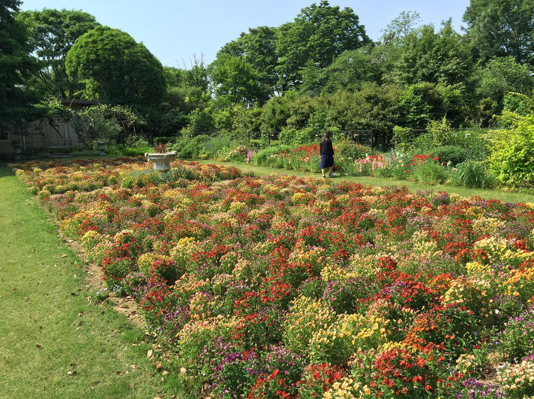 Fukaya Green Kingdom-深谷市必去景点