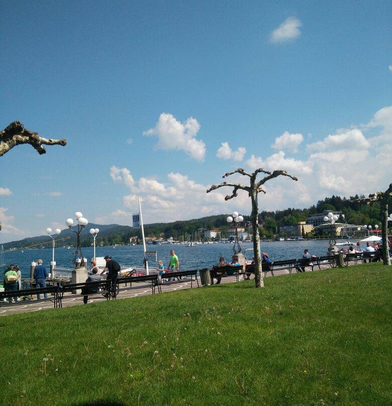 Bummelzug in Velden am Wörhtersee景点图片