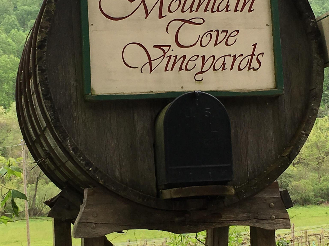 Mountain Cove Vineyards-Lovingston必去景点