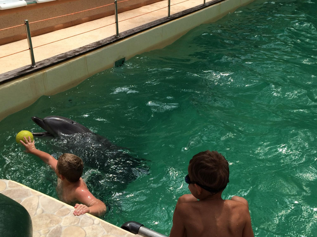 Dolphinarium-罗斯托夫必去景点