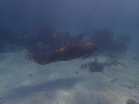 Avatar Adventures-图伦必去景点