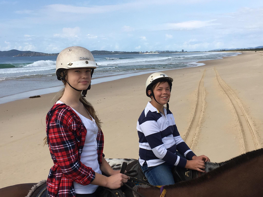 Horse About Tours景点图片