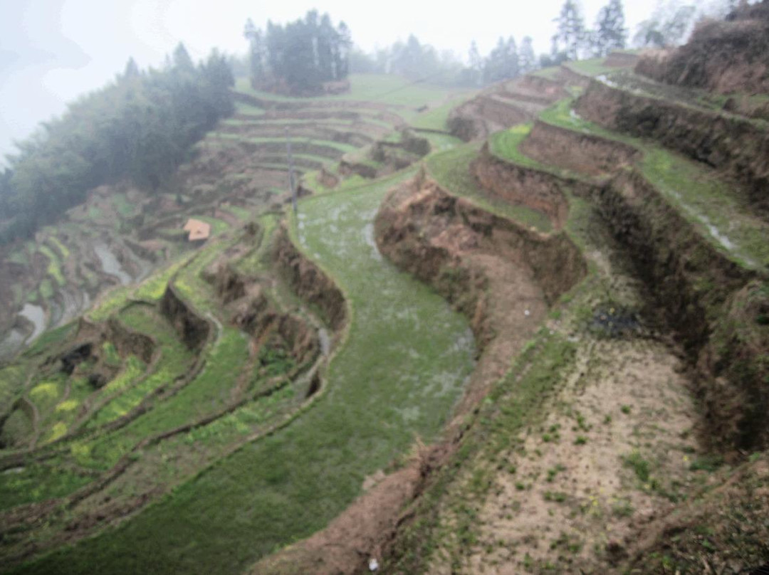 紫鹊界梯田国家级风景区-新化县必去景点