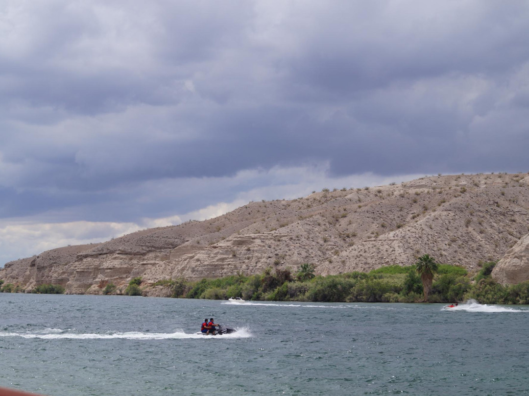 Bullhead City Community Park-Bullhead City必去景点