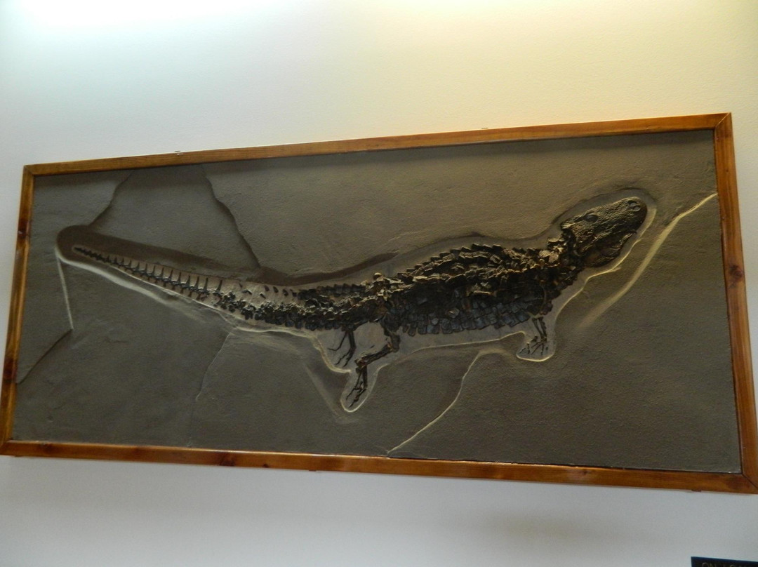 Natural History Museum - Western Wyoming Community College-Rock Springs必去景点