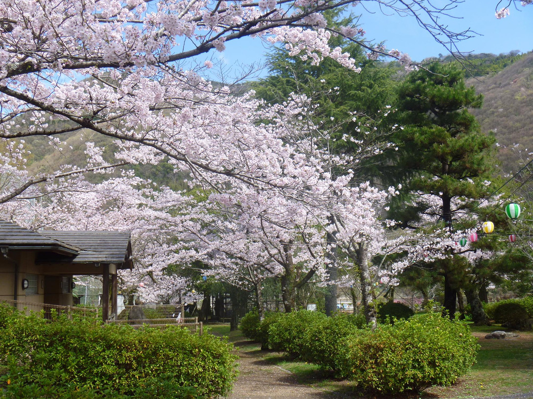 Suwa Park-三好市必去景点