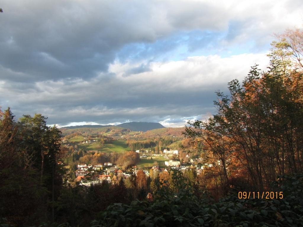Leech Forest (Leechwald)景点图片