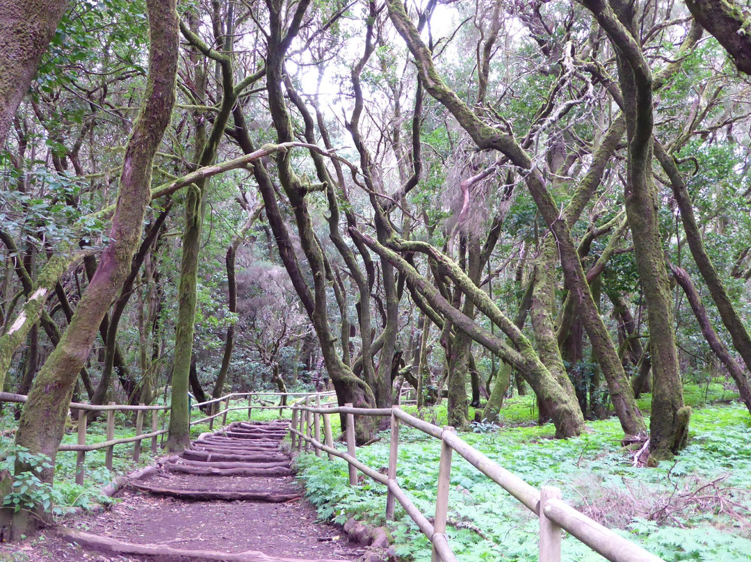 La Laguna Grande景点图片