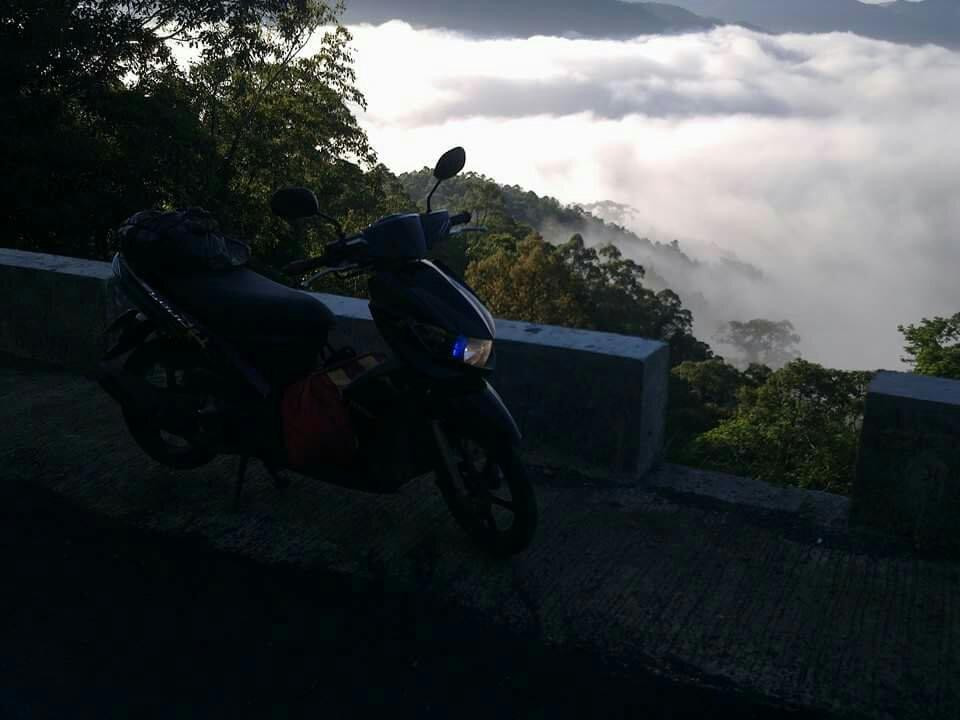 Lion Park-碧瑶必去景点