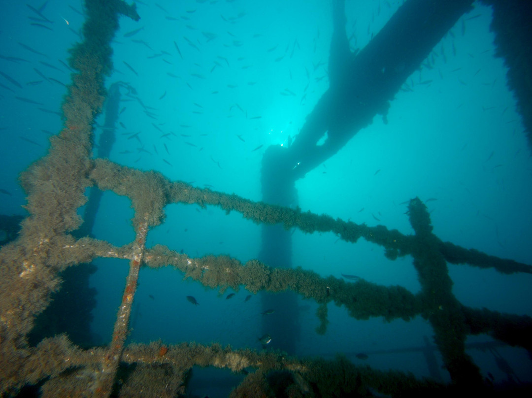 Dive City景点图片