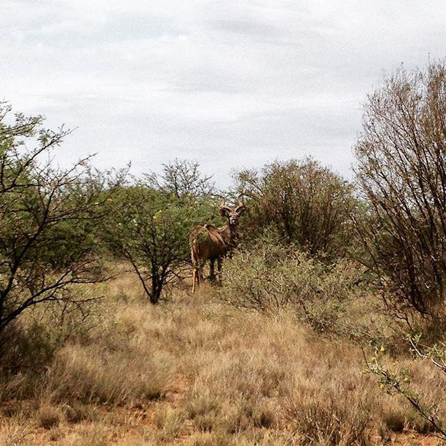 Mafikeng Game Reserve-玛费根必去景点