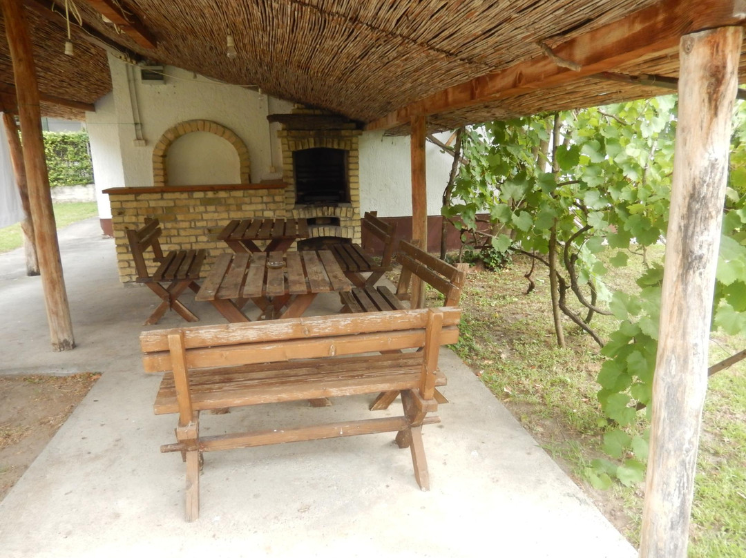 Hotel Villa Regina主图