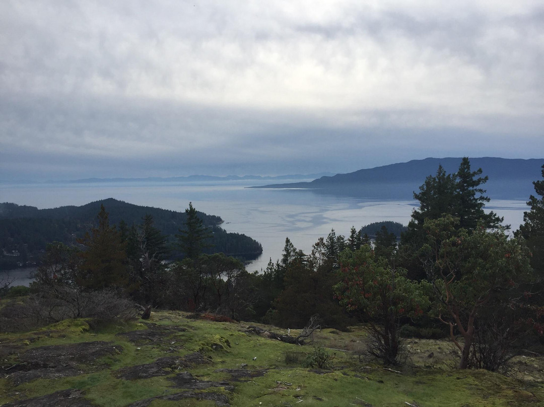 Pender Hill Park-马德拉公园镇必去景点