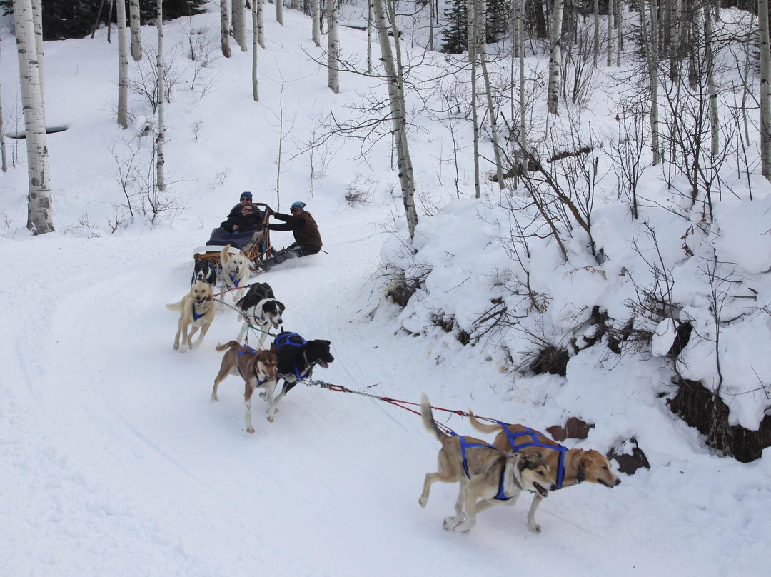 Krabloonik Dogsled Rides-斯诺马斯村必去景点
