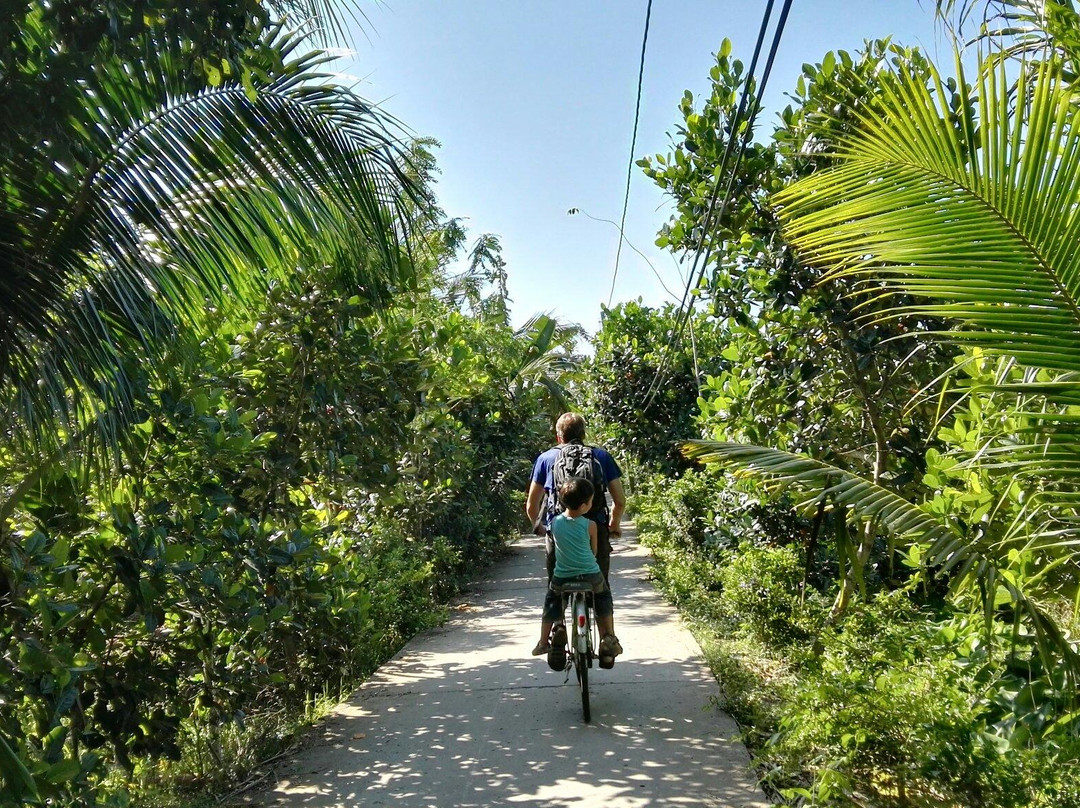 Mekong Ecolodge - Day Tours-凯比必去景点