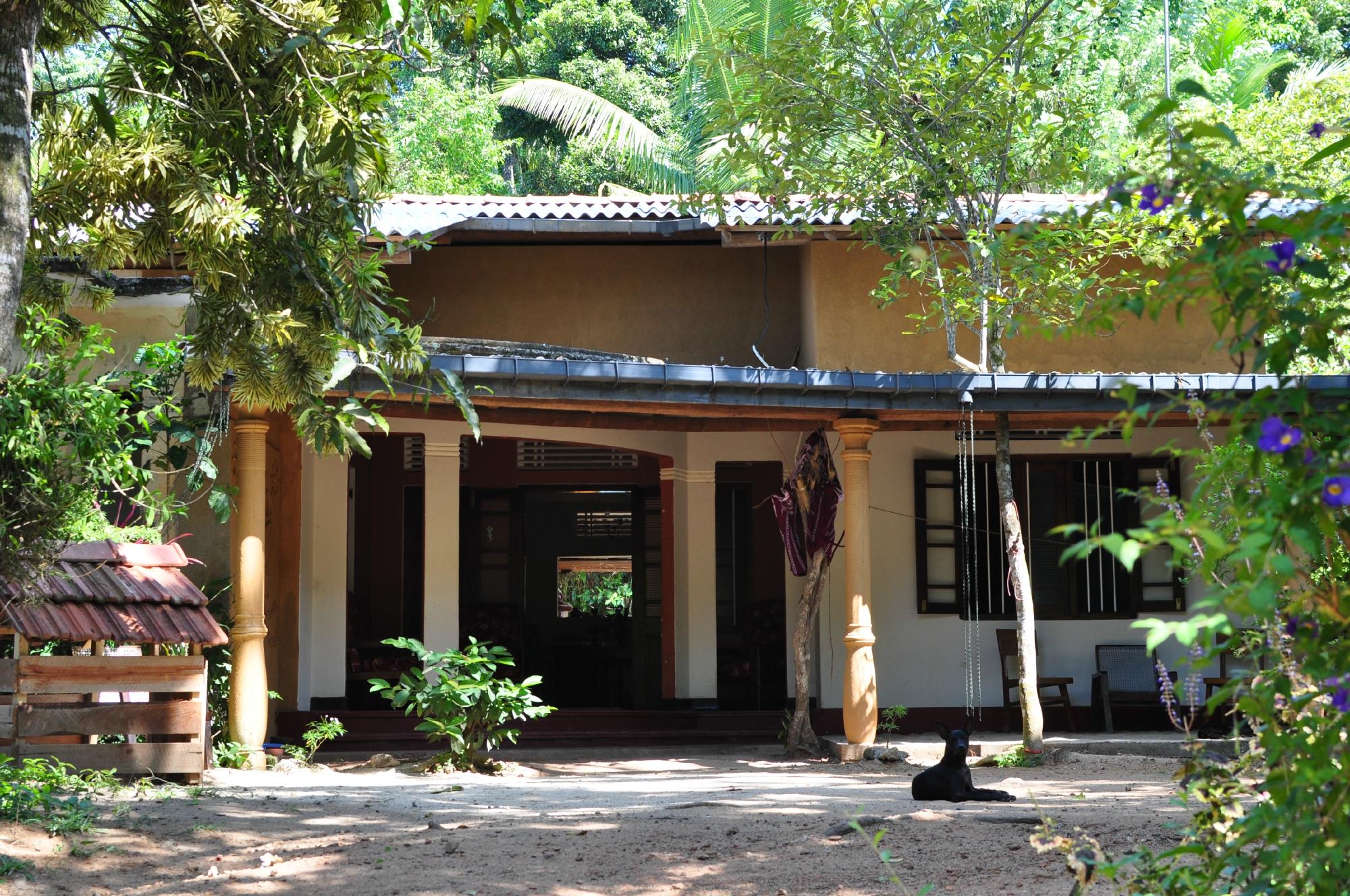 Gioia House-官方