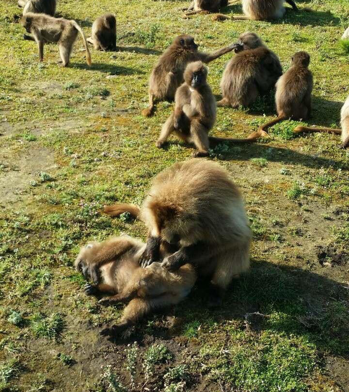 Ethiopia Trek景点图片